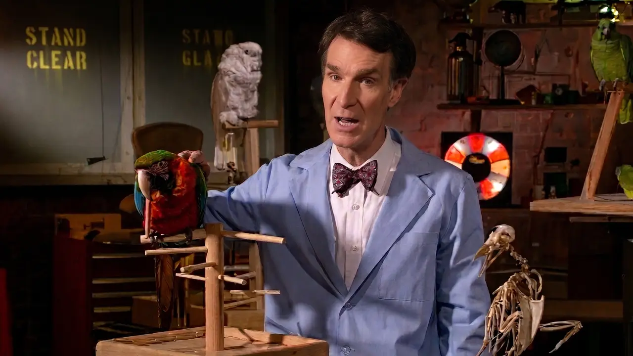 Bill Nye The Science Guy | Birds