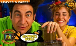 Photosynthesis & Paper Making