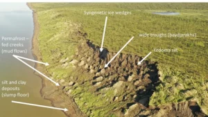 Aerial view of the Duvanny Yar Yedoma permafrost cliff in Siberia showing thawing features like ice wedges and mud flows.