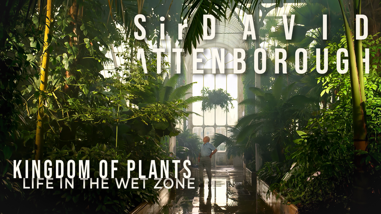 Video: David Attenborough: Kingdom of Plants  Life in the Wet Zone