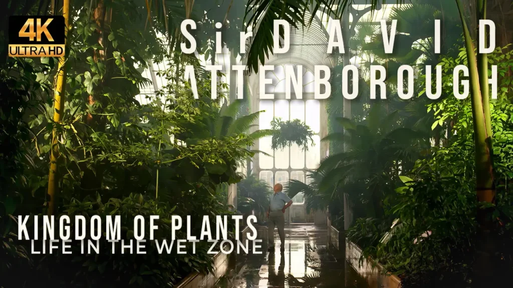 David Attenborough: Kingdom of Plants – Life in the Wet Zone