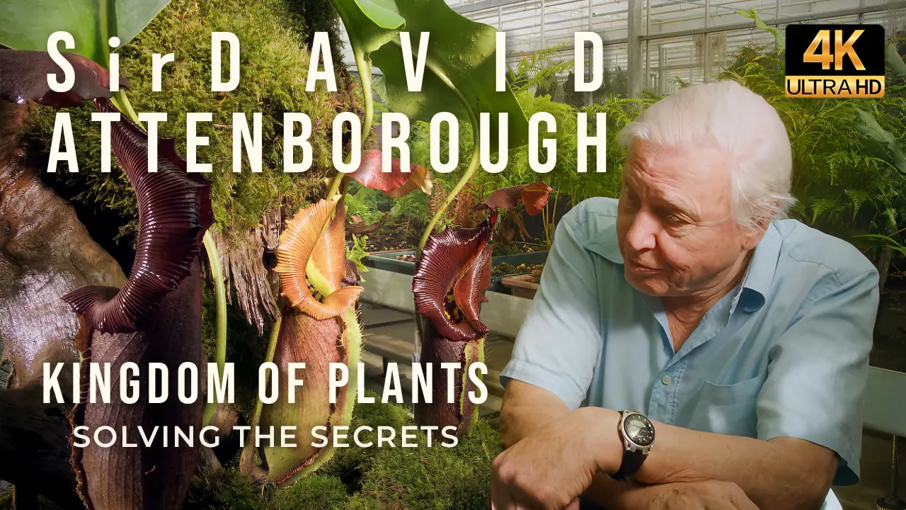 David Attenborough: Kingdom of Plants – Part 2: Solving the Secrets