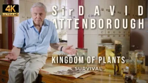 Kingdom of Plants - Part 03