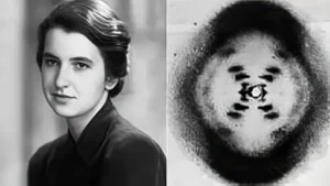A black and white portrait of Rosalind Franklin next to the famous X-ray diffraction image known as Photo 51, showing a clear X shape.