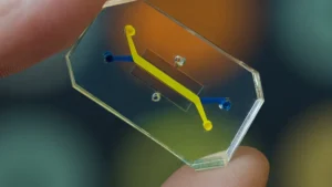 A close-up photograph of a clear, rectangular microfluidic chip, roughly the size of a computer flash drive, showing intricate etched channels filled with a pinkish fluid.