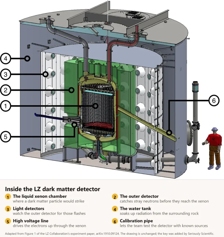 A cutaway drawing of the LZ detector showing six numbered parts, with a key naming each one: the liquid xenon chamber, the outer detector, the light detectors, the water tank, the high voltage line and the calibration pipe. A small figure of a person stands beside it for scale.