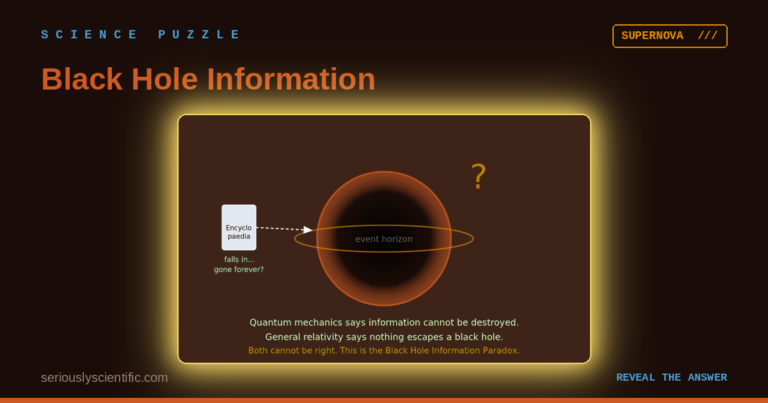 Black Hole Information