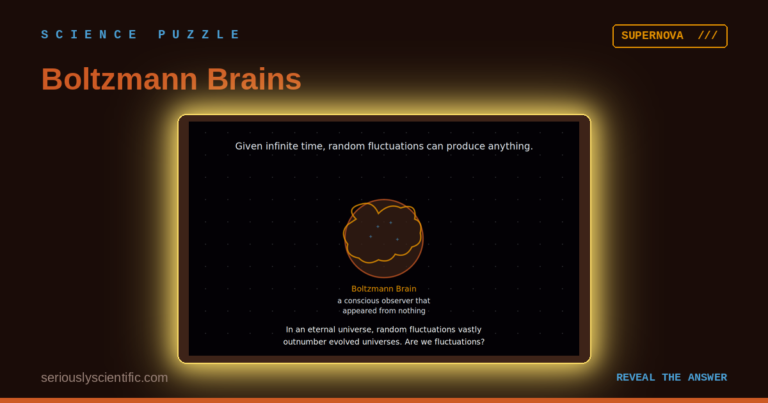 Boltzmann Brains