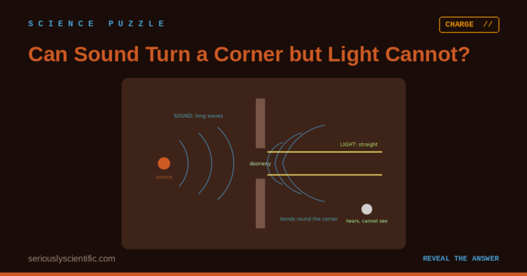 Can Sound Turn a Corner but Light Cannot?