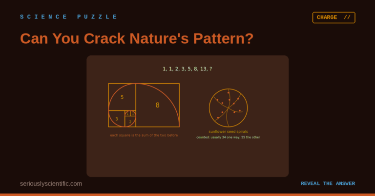 Can You Crack Nature’s Pattern?