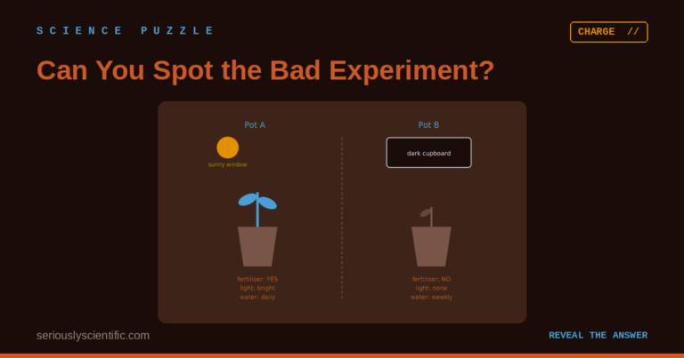 Can You Spot the Bad Experiment?