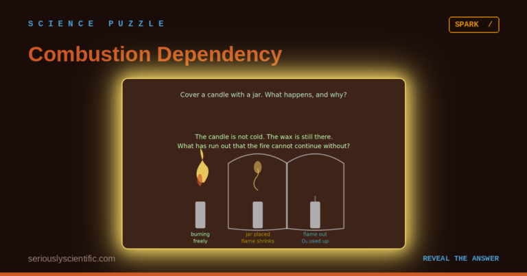 Combustion Dependency