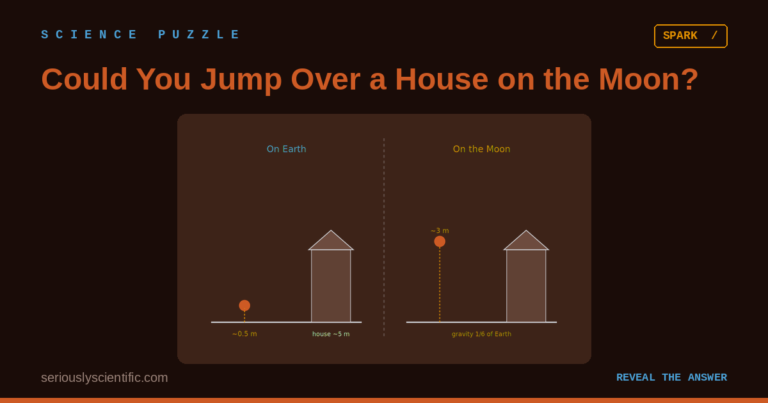 Could You Jump Over a House on the Moon?
