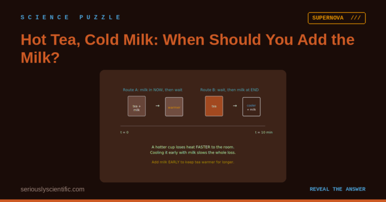 Hot Tea, Cold Milk: When Should You Add the Milk?