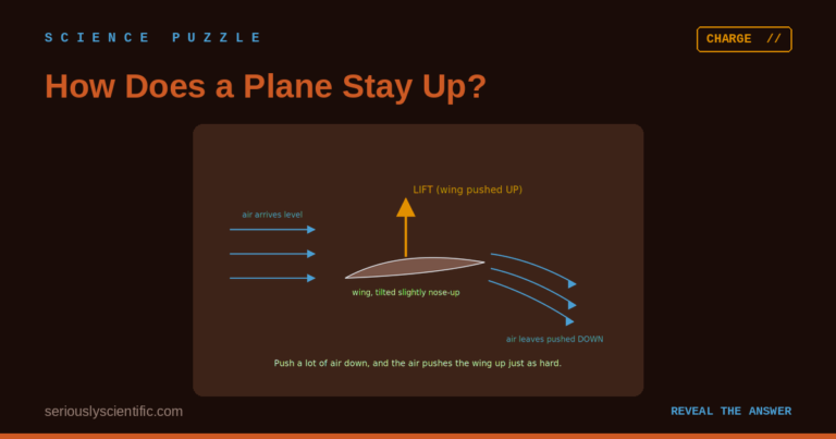 How Does a Plane Stay Up?