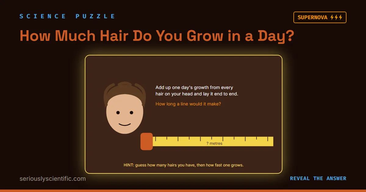 How Much Hair Do You Grow in a Day?
