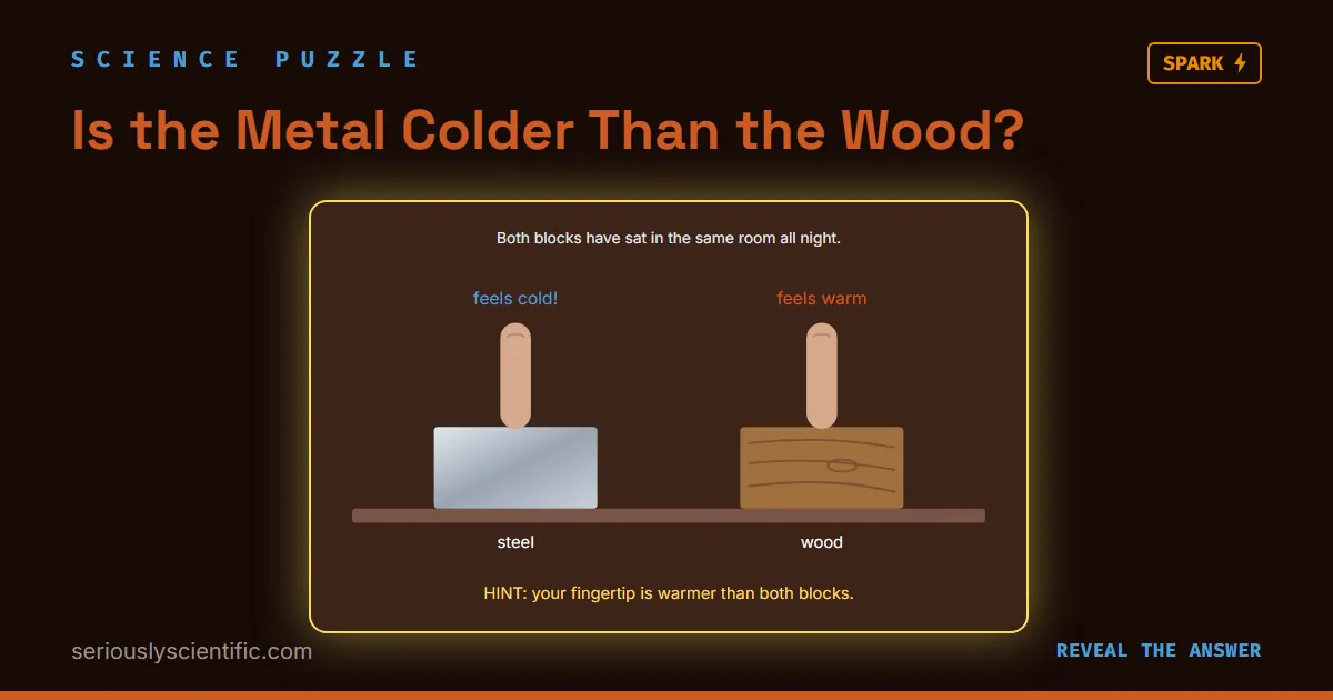 Is the Metal Colder Than the Wood?