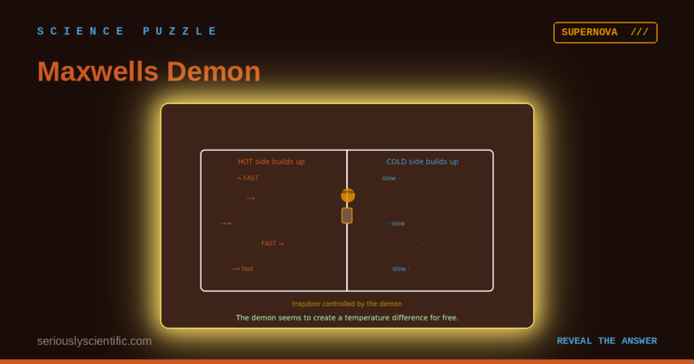 Maxwell’s Demon