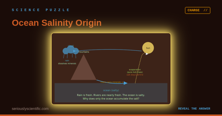 Ocean Salinity Origin