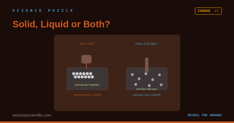 Solid, Liquid or Both?