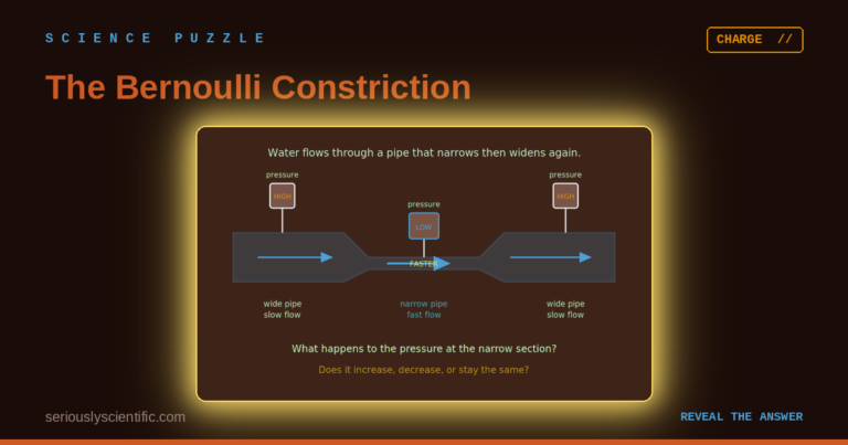 The Bernoulli Constriction