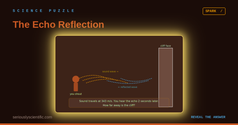 The Echo Reflection