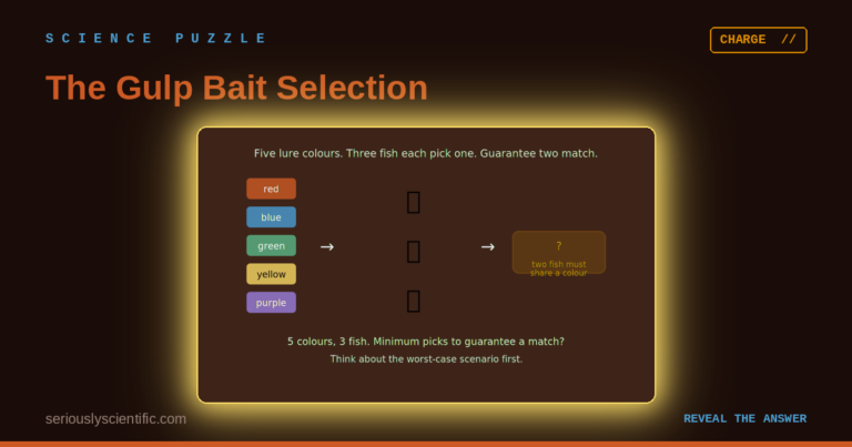 The Gulp Bait Selection