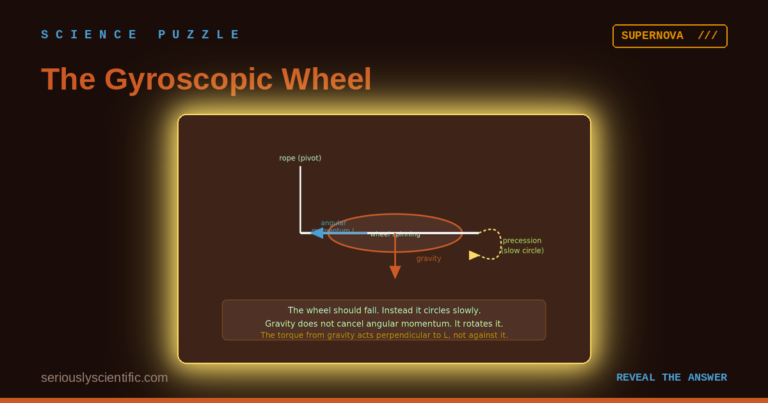 The Gyroscopic Wheel