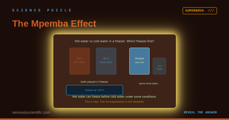 The Mpemba Effect