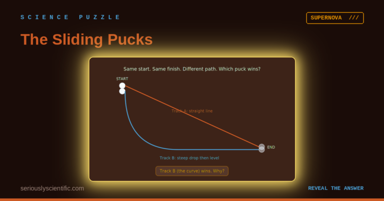 The Sliding Pucks