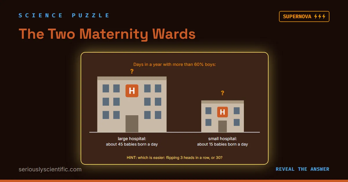 The Two Maternity Wards