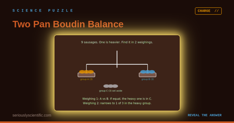 Two-Pan Boudin Balance