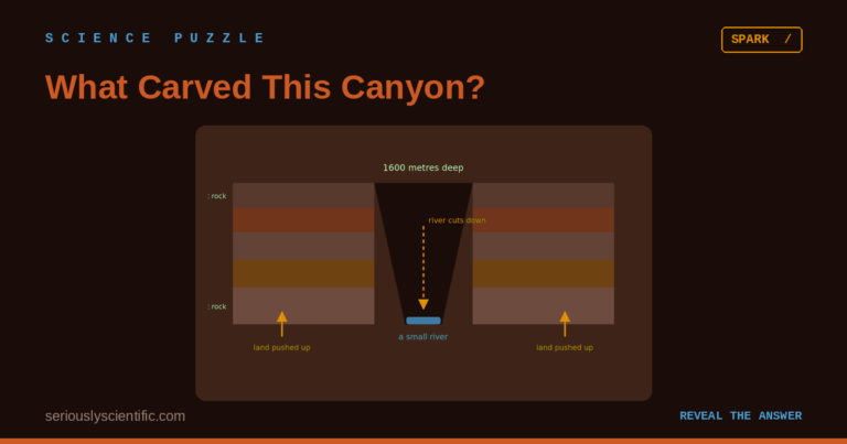 What Carved This Canyon?