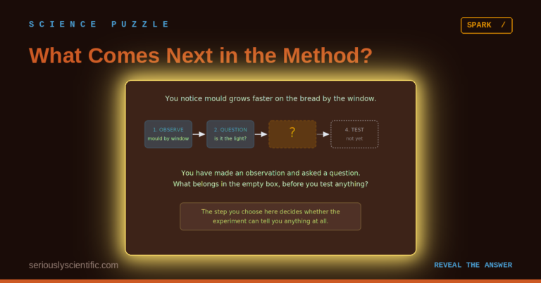 What Comes Next in the Method?