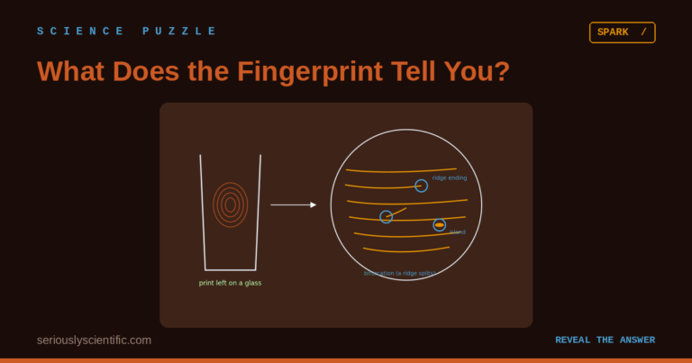 What Does the Fingerprint Tell You?