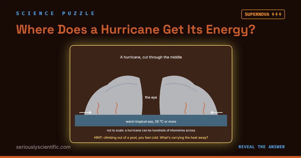 Where Does a Hurricane Get Its Energy?