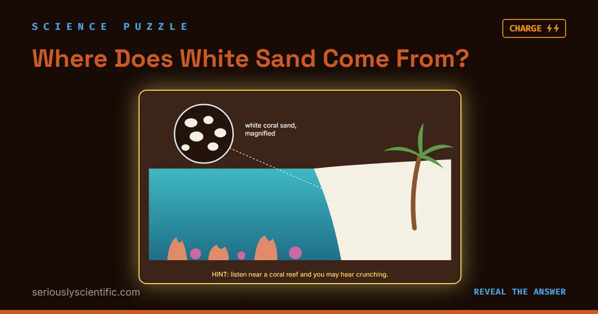 Where Does White Sand Come From?