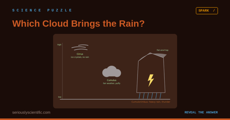 Which Cloud Brings the Rain?