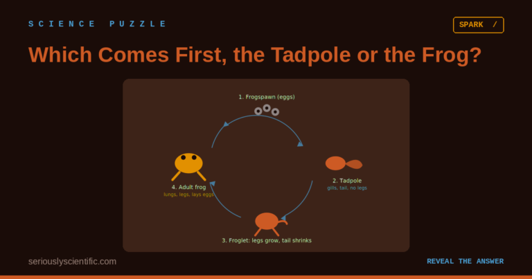 Which Comes First, the Tadpole or the Frog?