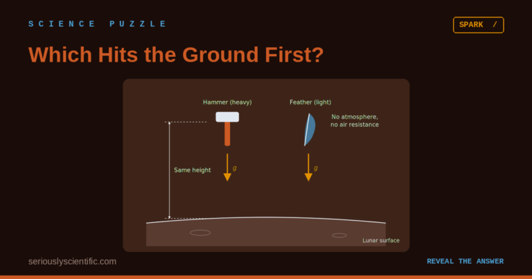 Which Hits the Ground First?