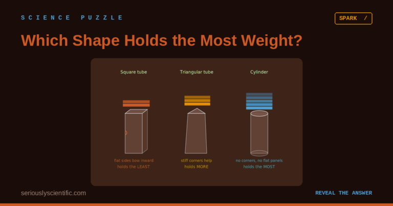 Which Shape Holds the Most Weight?