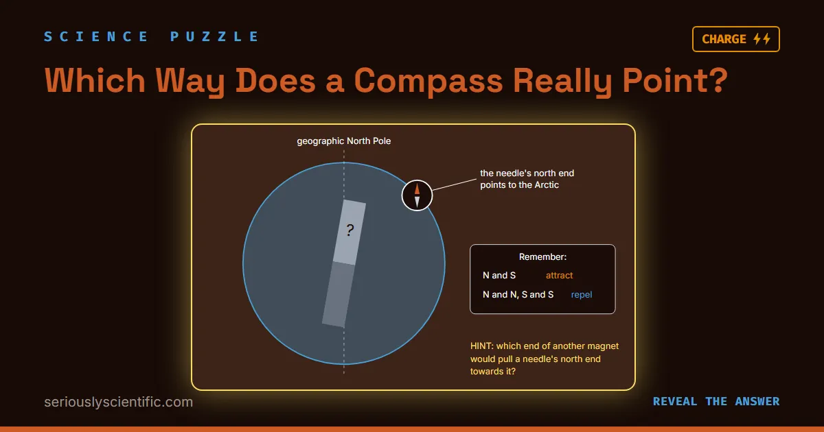 Which Way Does a Compass Really Point?