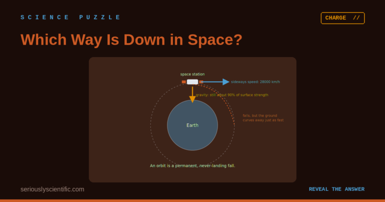 Which Way Is Down in Space?