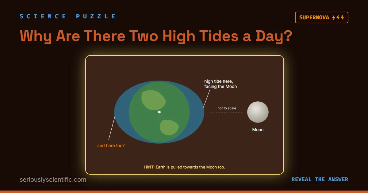 Why Are There Two High Tides a Day?
