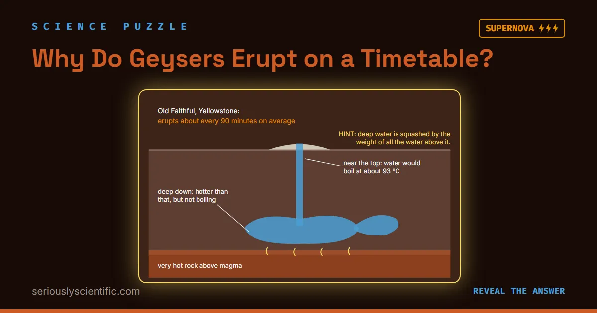 Why Do Geysers Erupt on a Timetable?