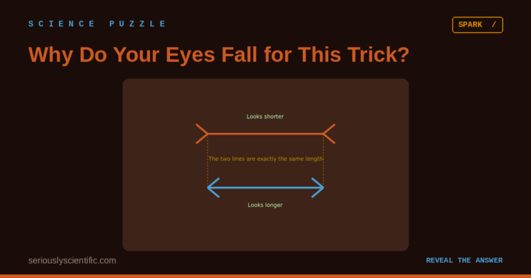 Why Do Your Eyes Fall for This Trick?