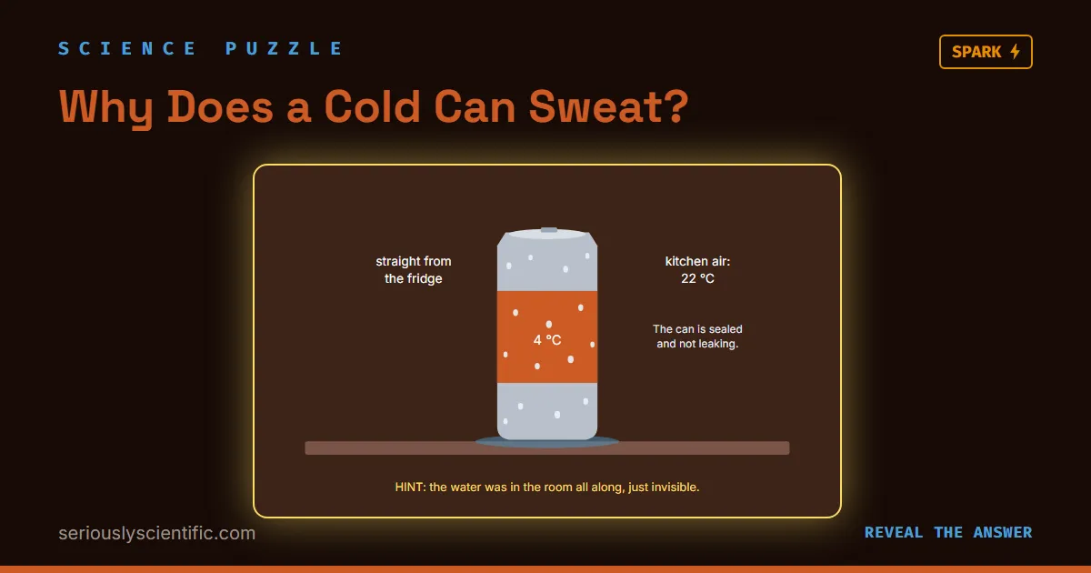 Why Does a Cold Can Sweat?