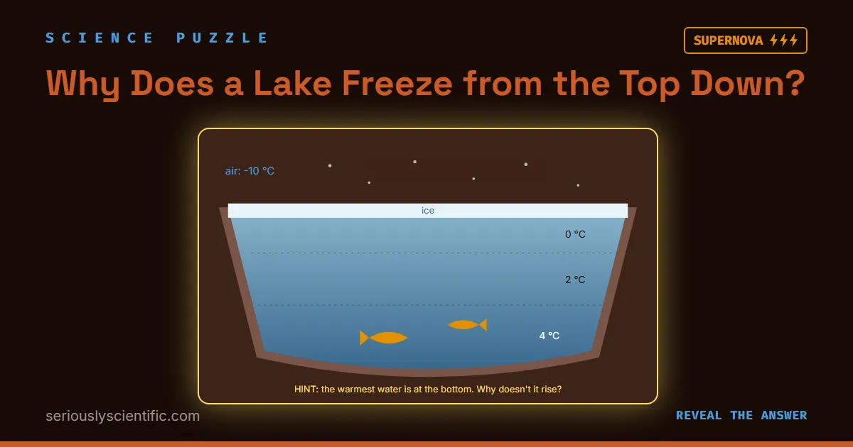 Why Does a Lake Freeze from the Top Down?