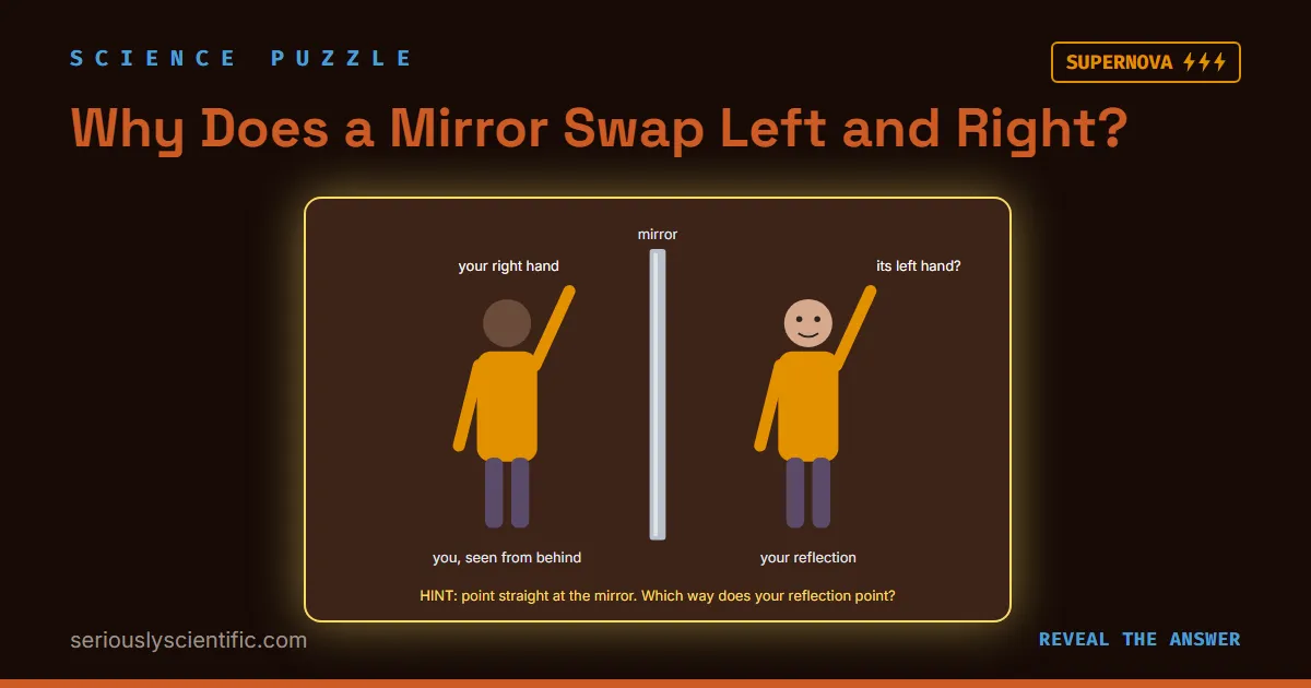 Why Does a Mirror Swap Left and Right?