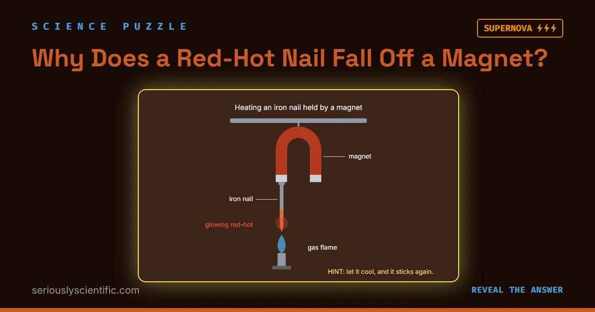 Why Does a Red-Hot Nail Fall Off a Magnet?